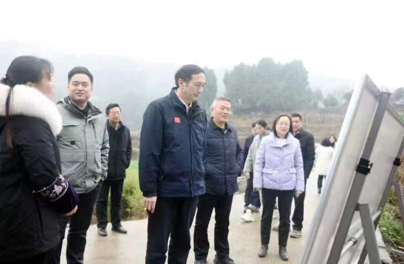 湖南政协新闻网 湖南政协新闻网