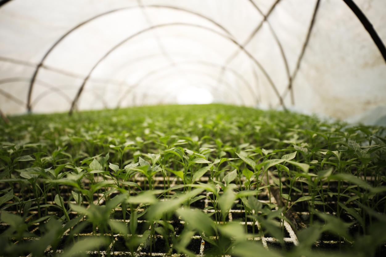 湖南政协新闻网