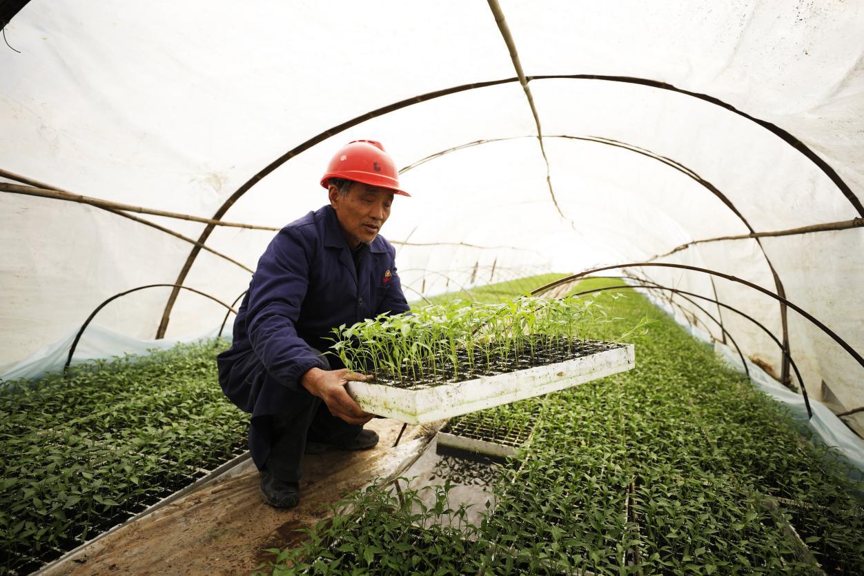 湖南政协新闻网