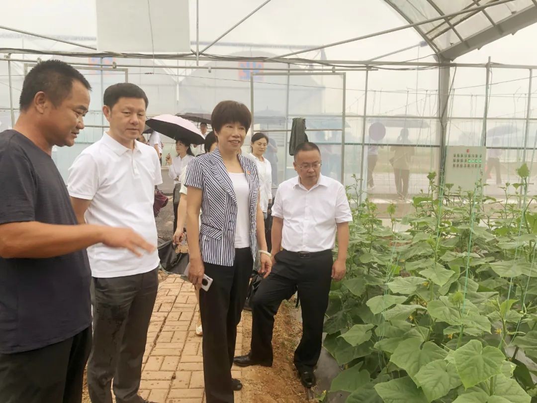 湖南政协新闻网