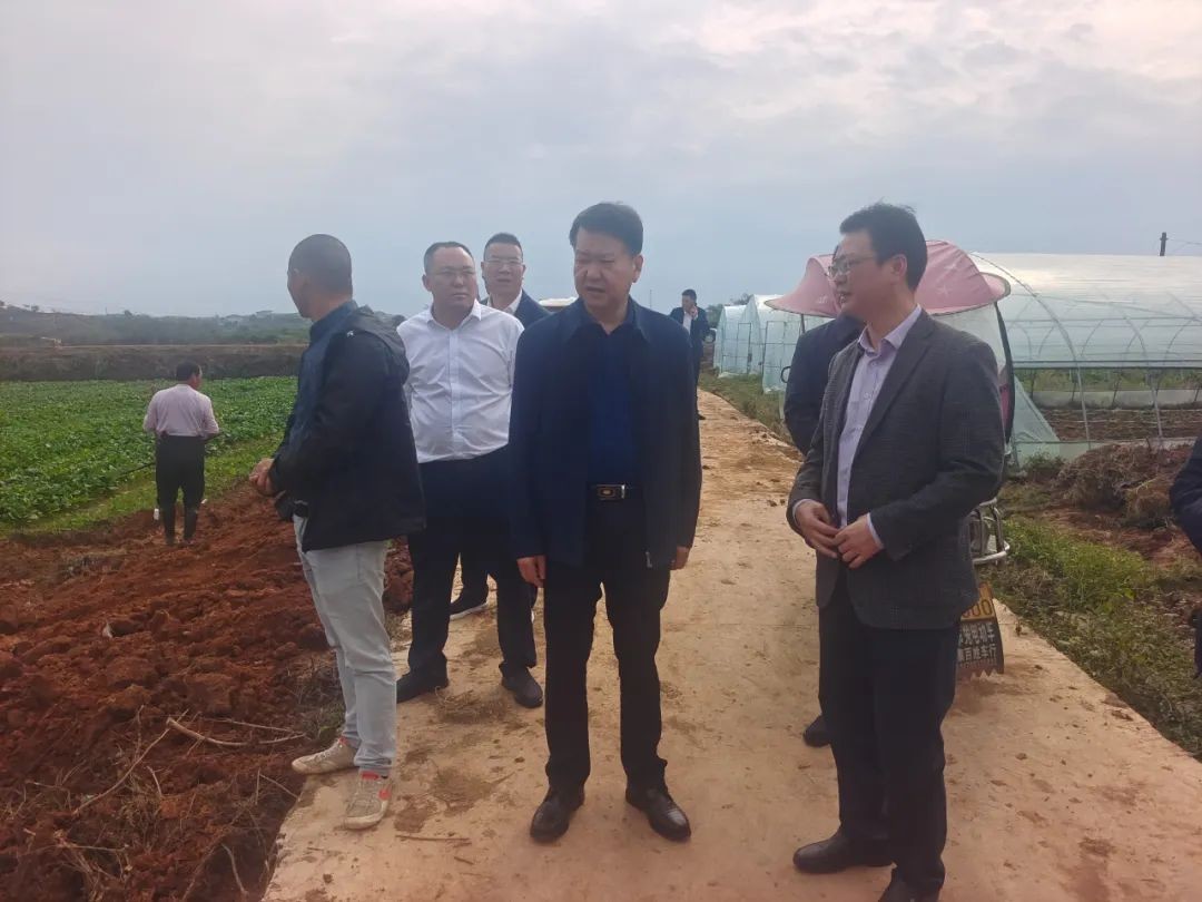 湖南政协新闻网