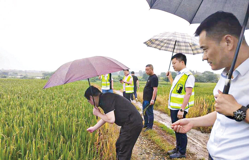 湖南政协新闻网