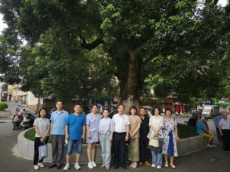 湖南政协新闻网