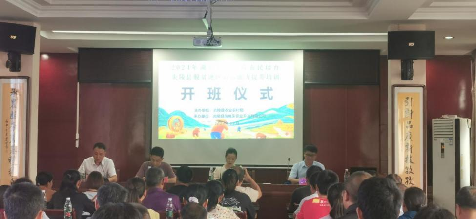 湖南政协新闻网