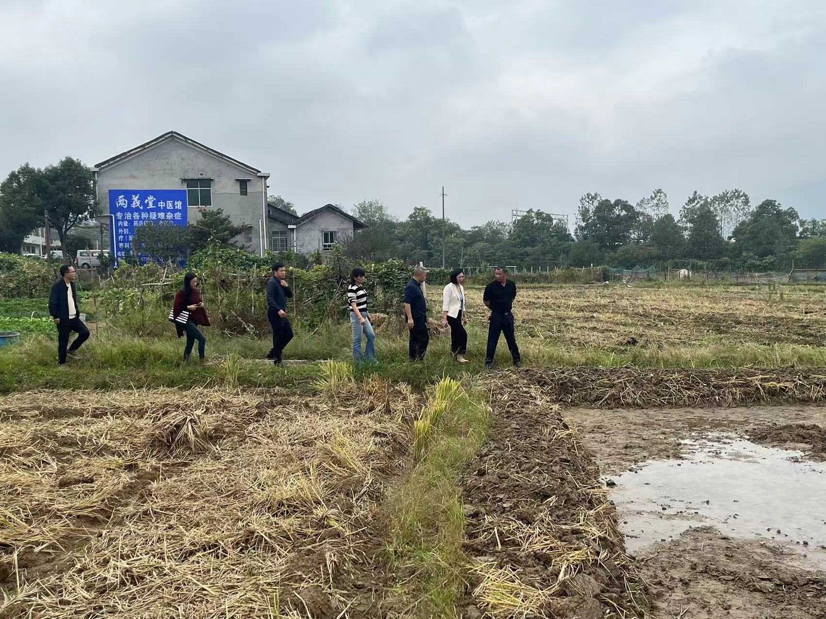 湖南政协新闻网