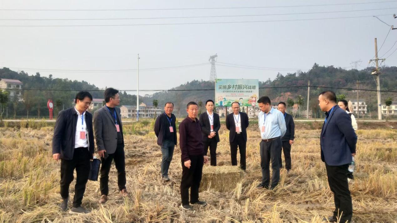 湖南政协新闻网