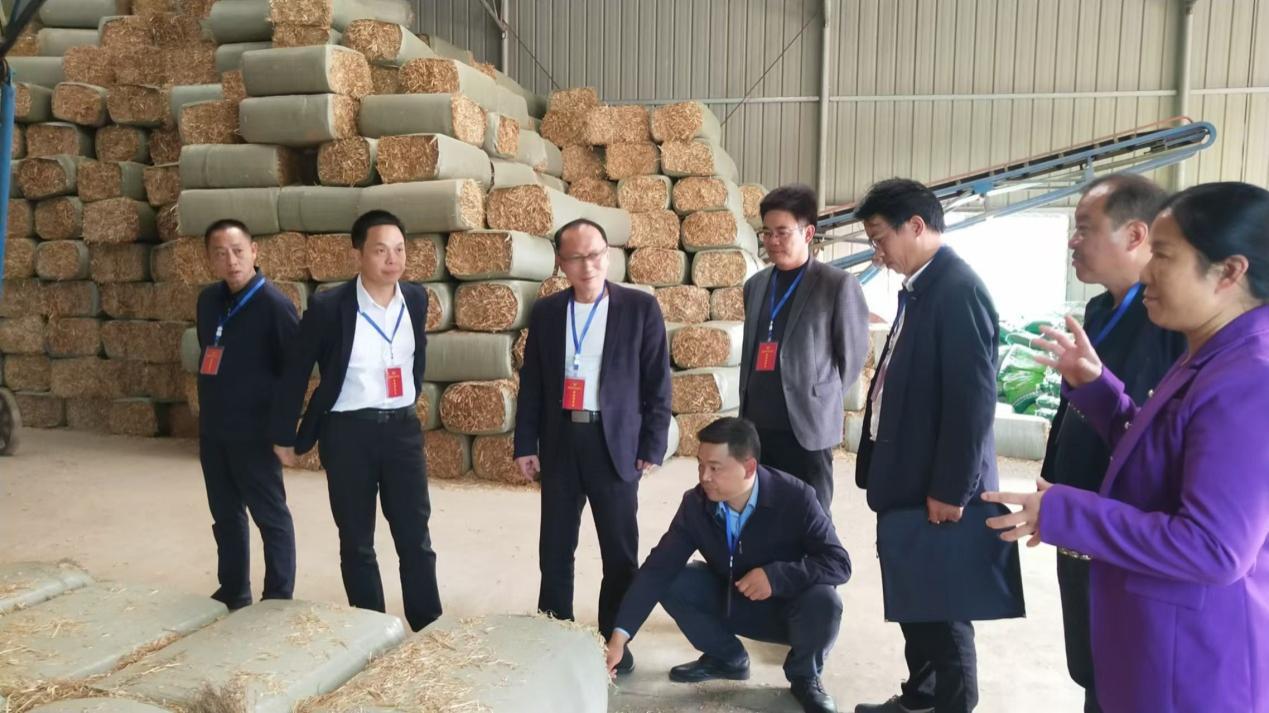 湖南政协新闻网