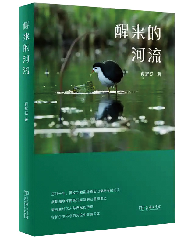 湖南政协新闻网
