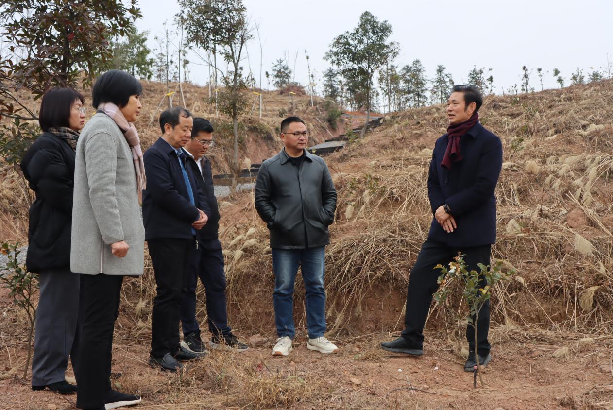 湖南政协新闻网