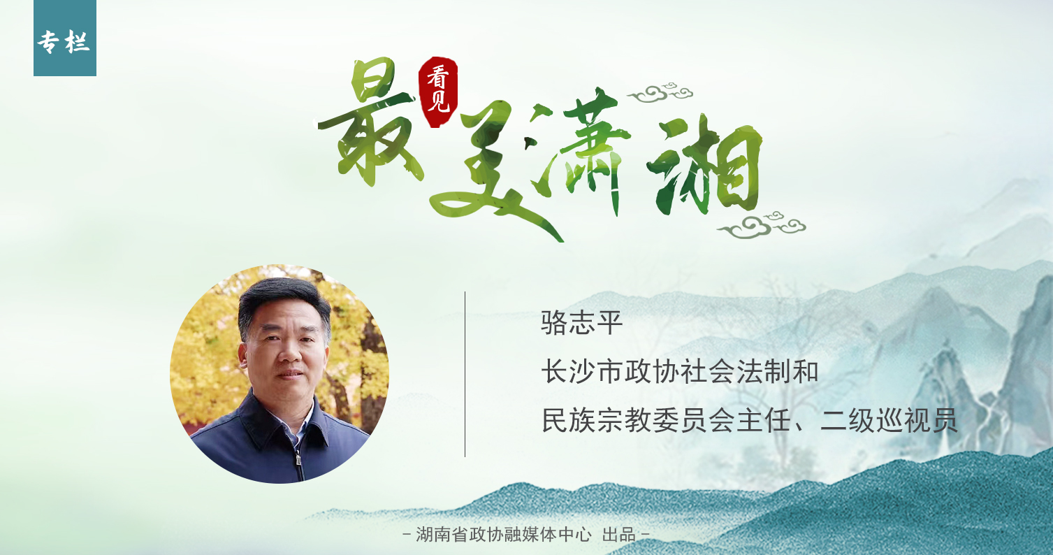 专栏定.jpg