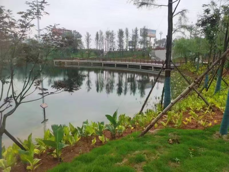 湖南政协新闻网