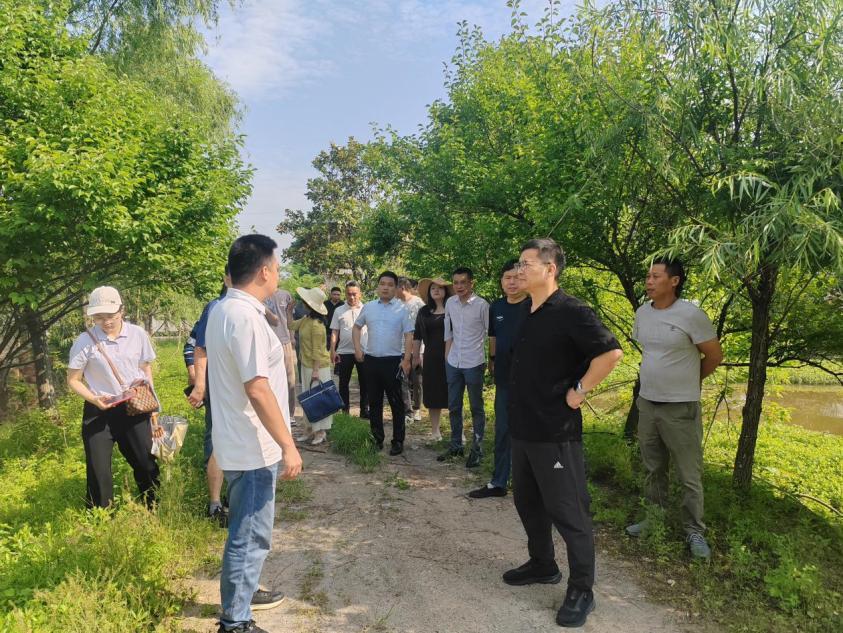 湖南政协新闻网