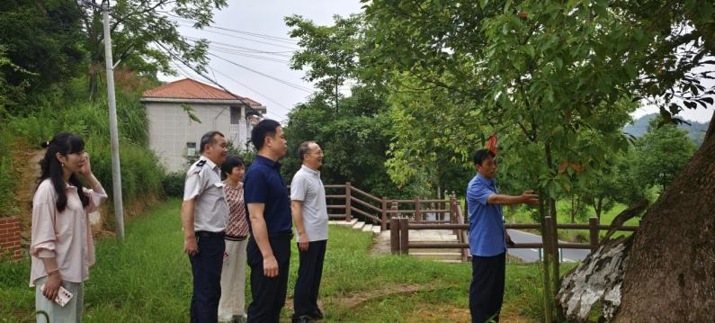 湖南政协新闻网