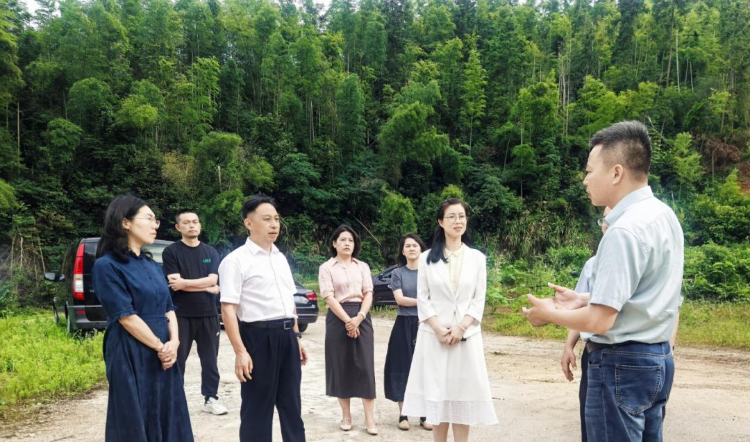 湖南政协新闻网