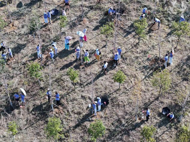湖南政协新闻网