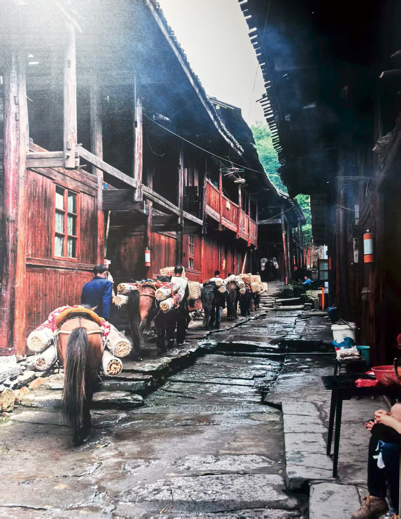 湖南政协新闻网 湖南政协新闻网