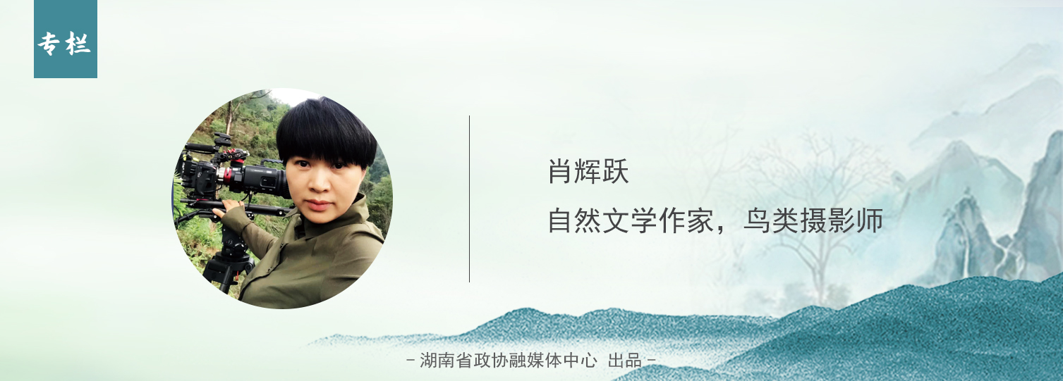 人物专栏 肖辉跃.jpg 人物专栏 肖辉跃.jpg