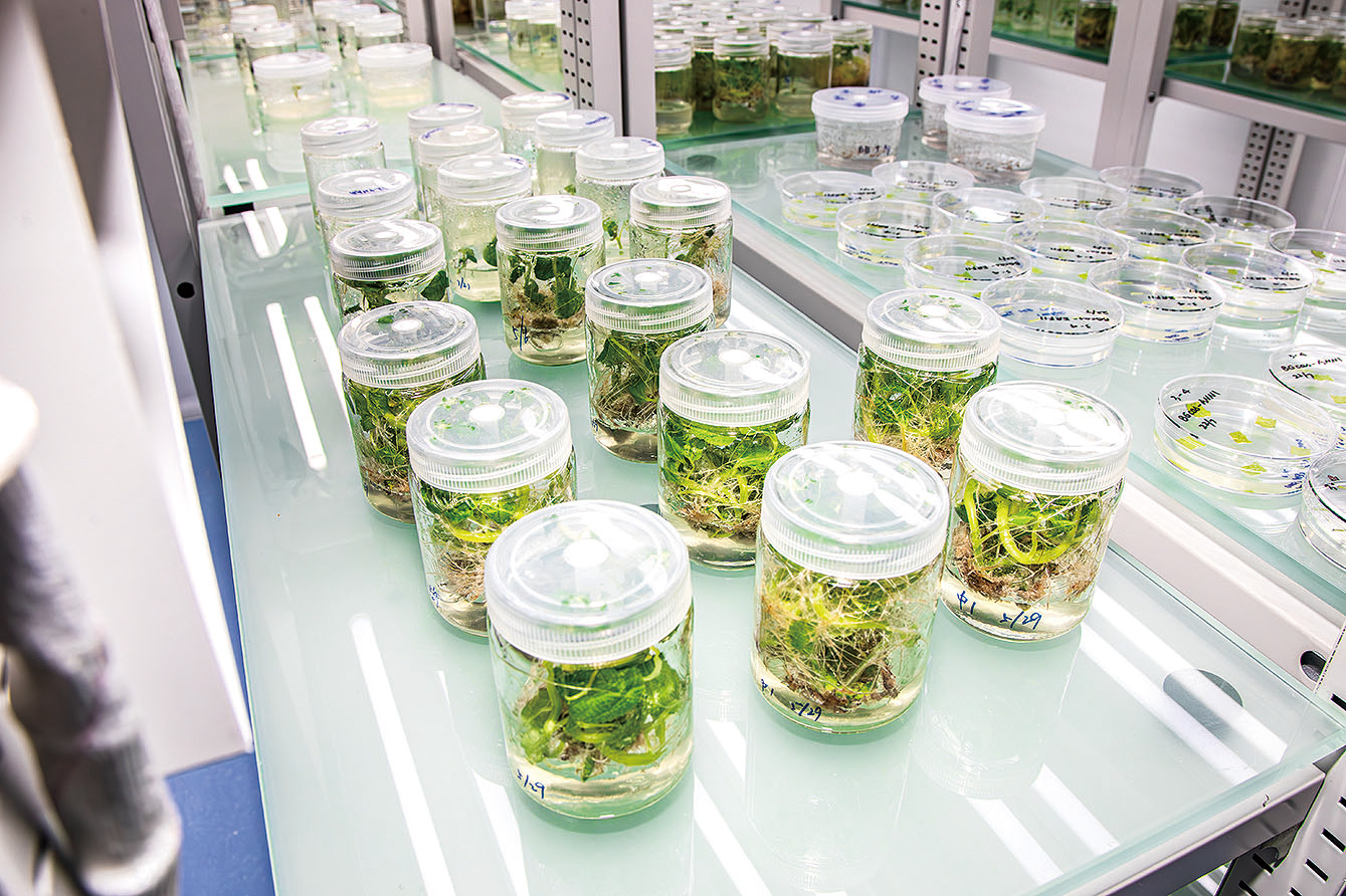 湖南政协新闻网 湖南政协新闻网