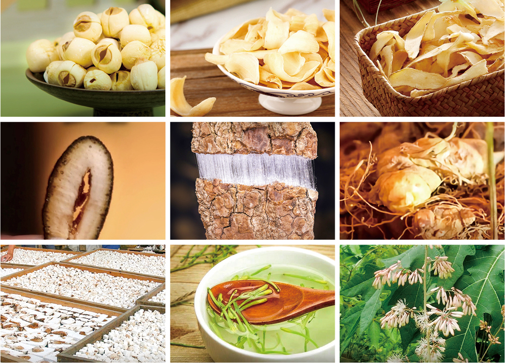 湖南政协新闻网 湖南政协新闻网