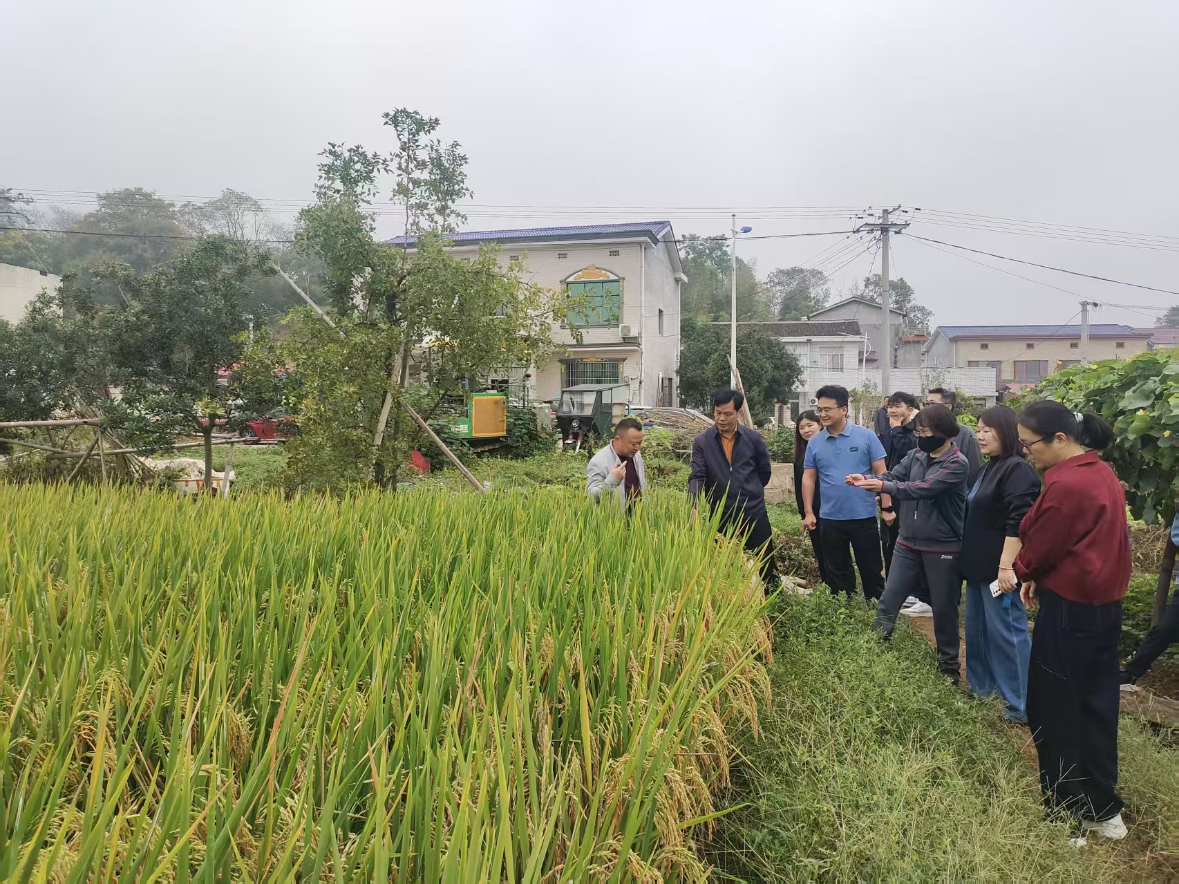 湖南政协新闻网 湖南政协新闻网