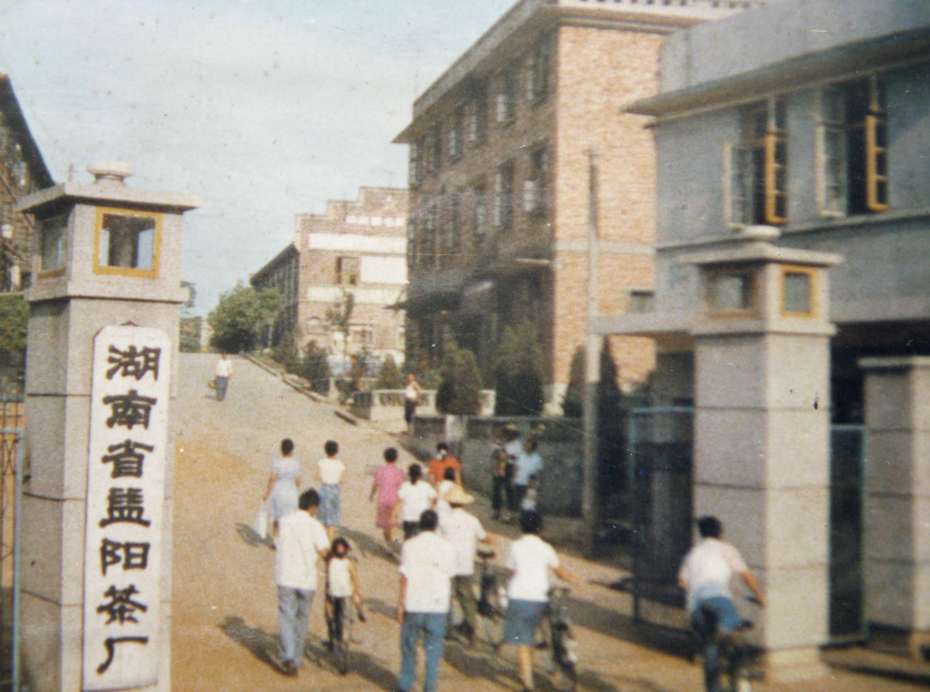 湖南政协新闻网