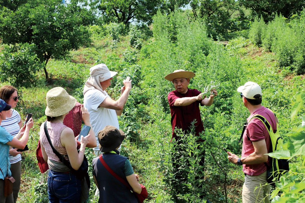 湖南政协新闻网 湖南政协新闻网