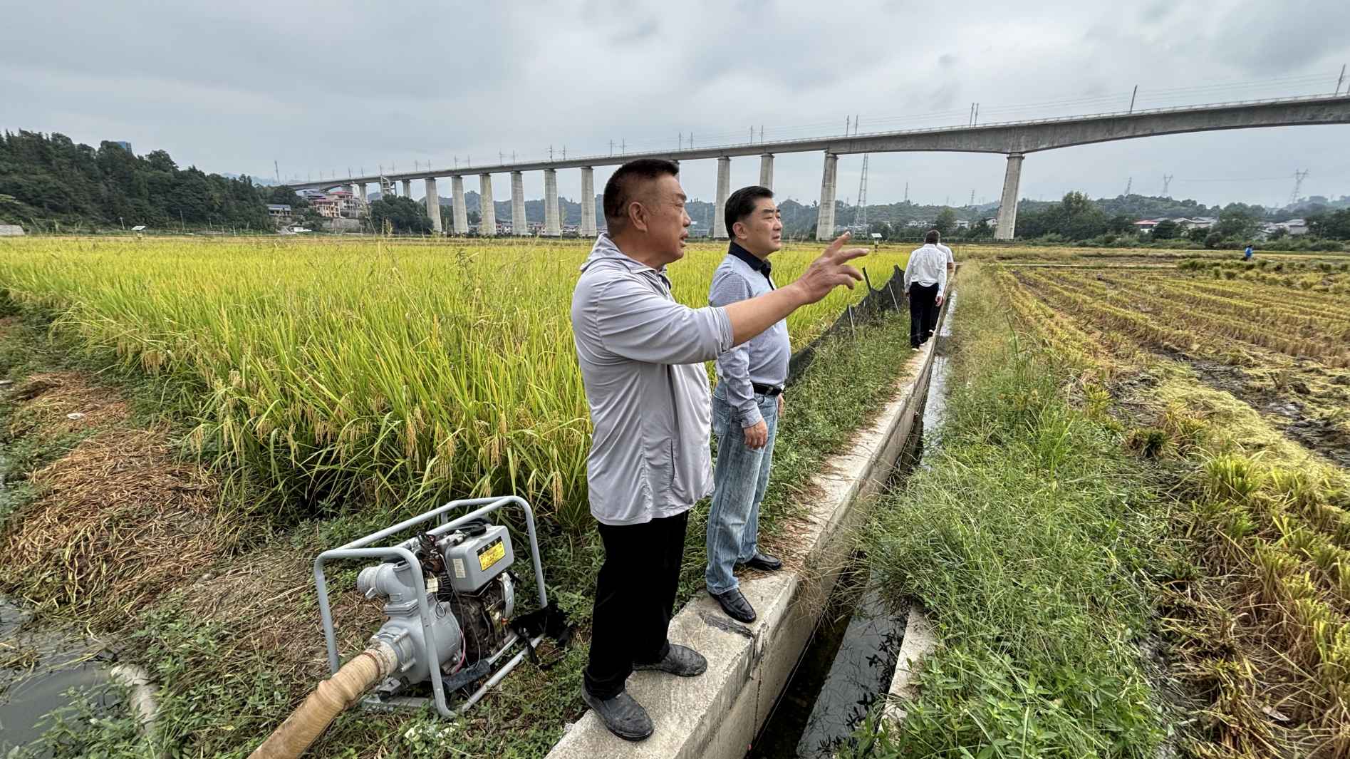 湖南政协新闻网