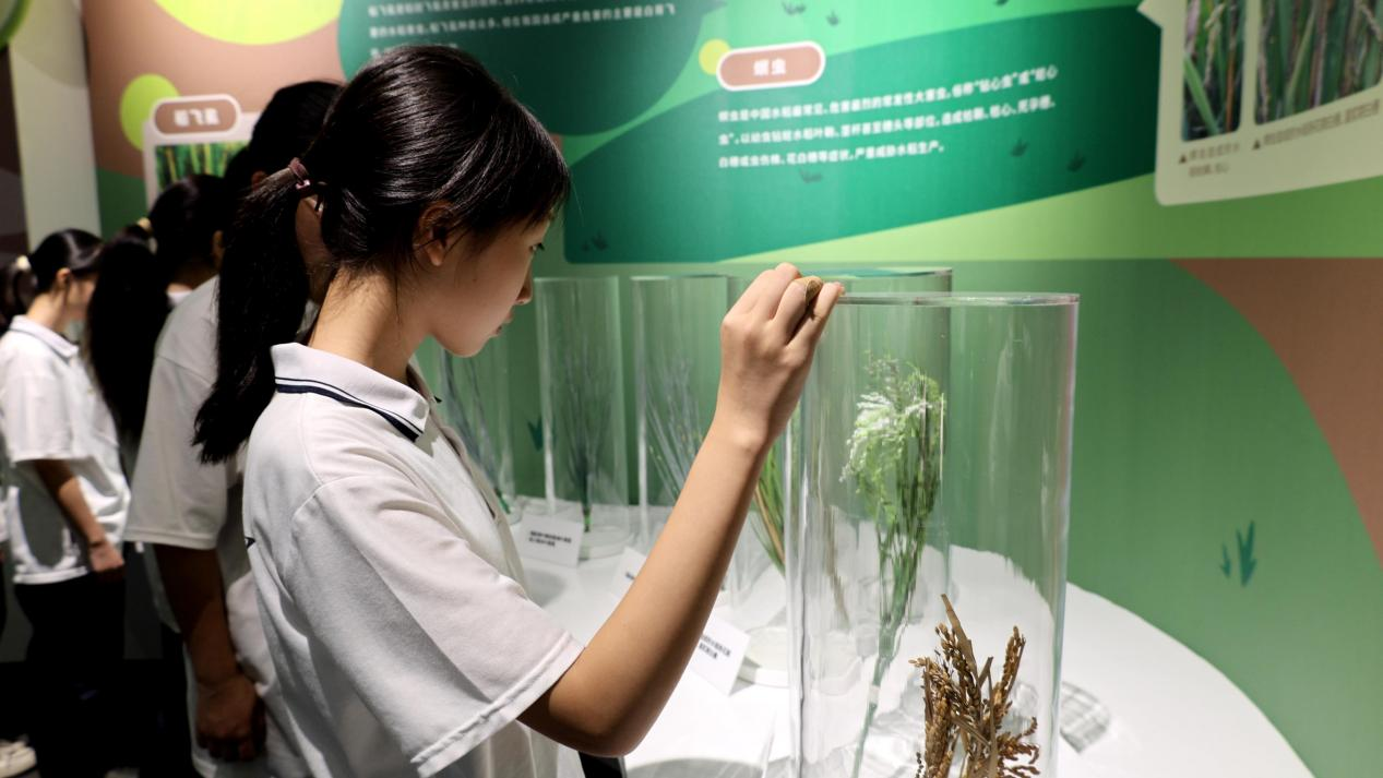 湖南政协新闻网 湖南政协新闻网