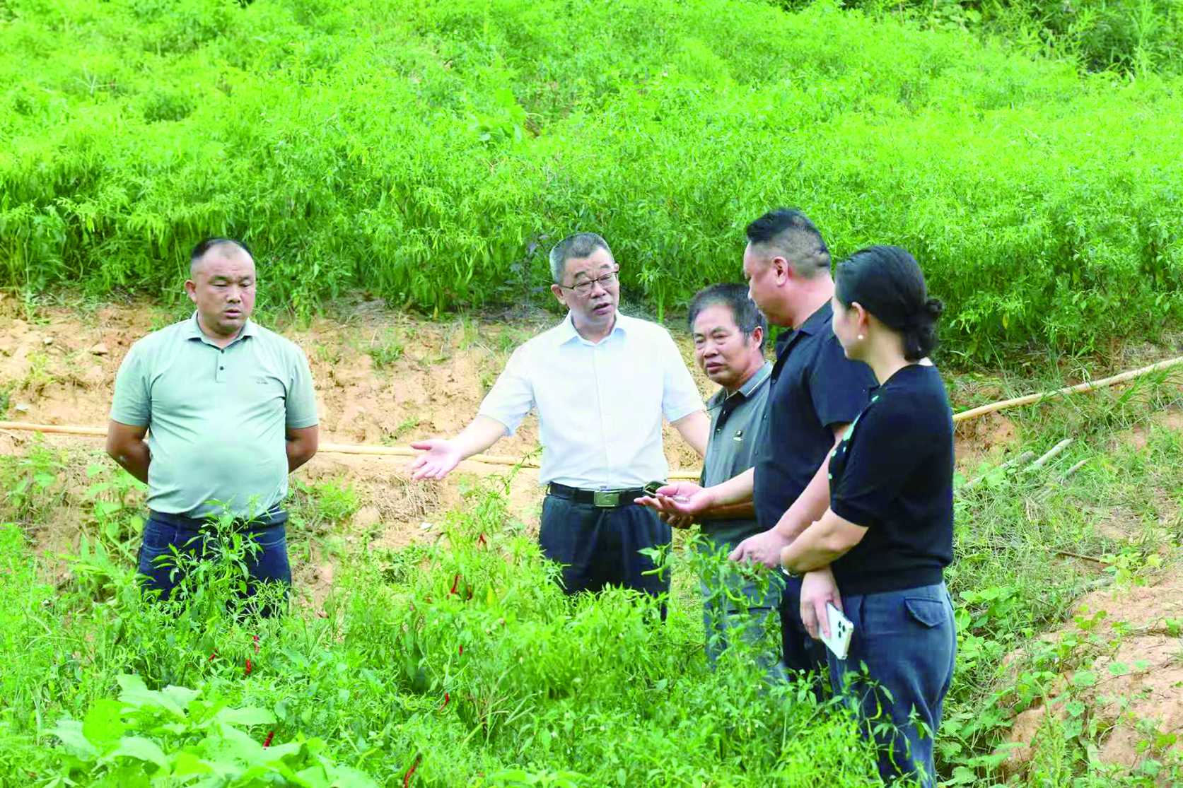 湖南政协新闻网 湖南政协新闻网