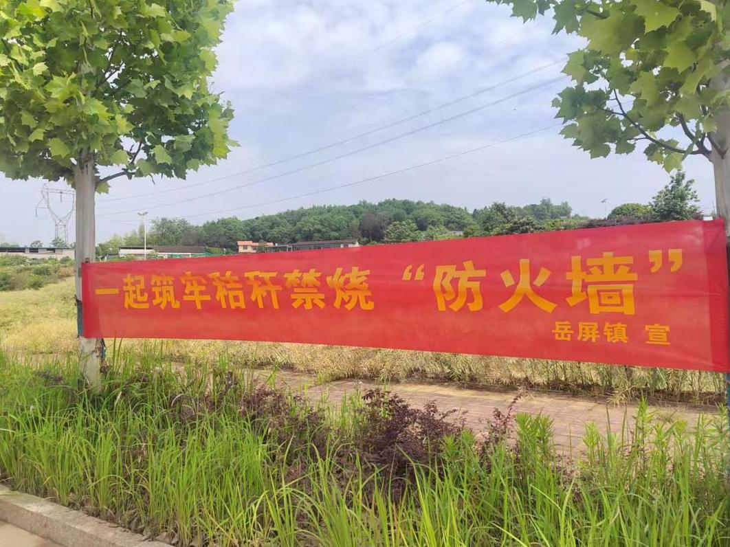 湖南政协新闻网 湖南政协新闻网