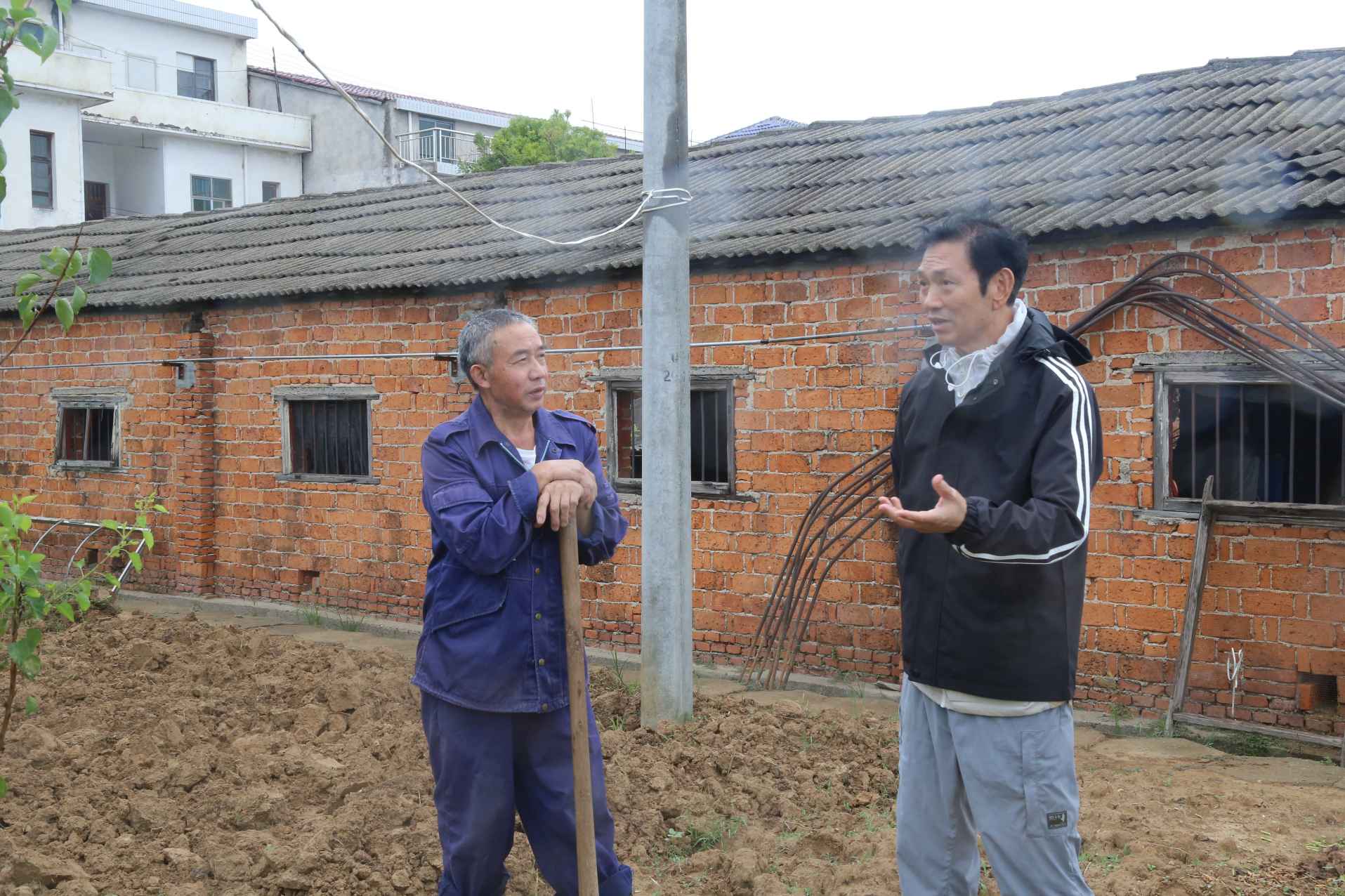 湖南政协新闻网