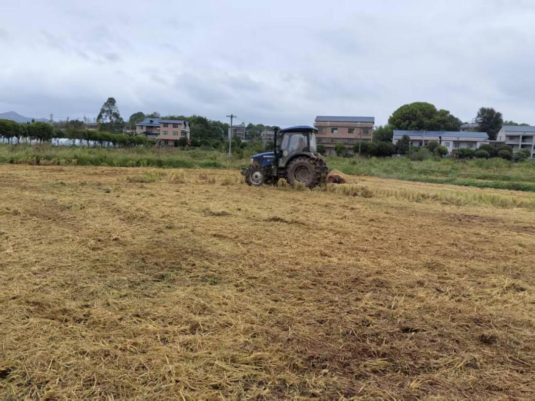 湖南政协新闻网 湖南政协新闻网