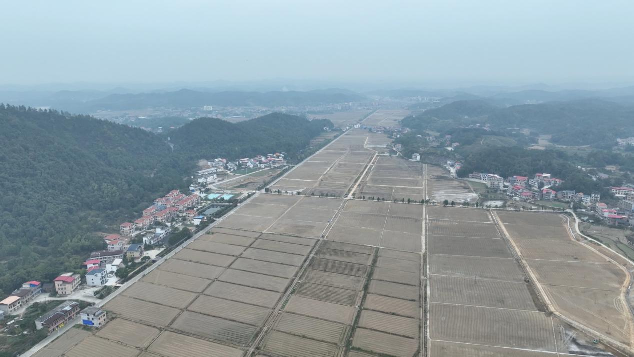 湖南政协新闻网 湖南政协新闻网