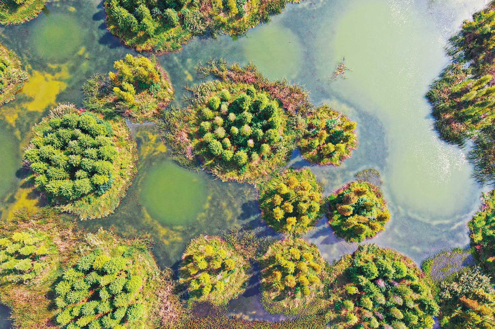 湖南政协新闻网