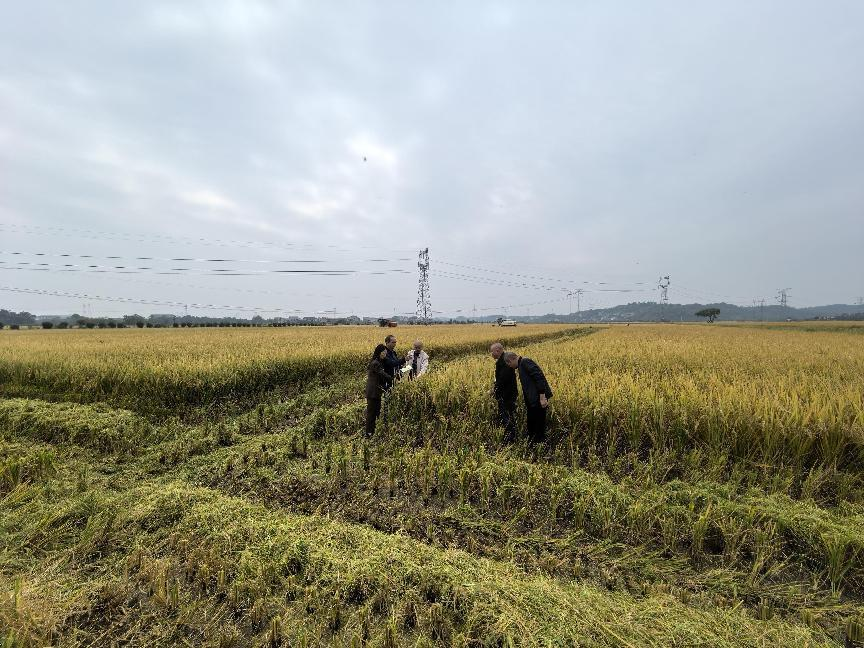 湖南政协新闻网