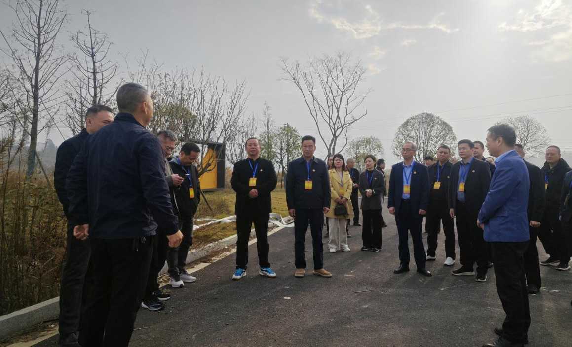 湖南政协新闻网 湖南政协新闻网