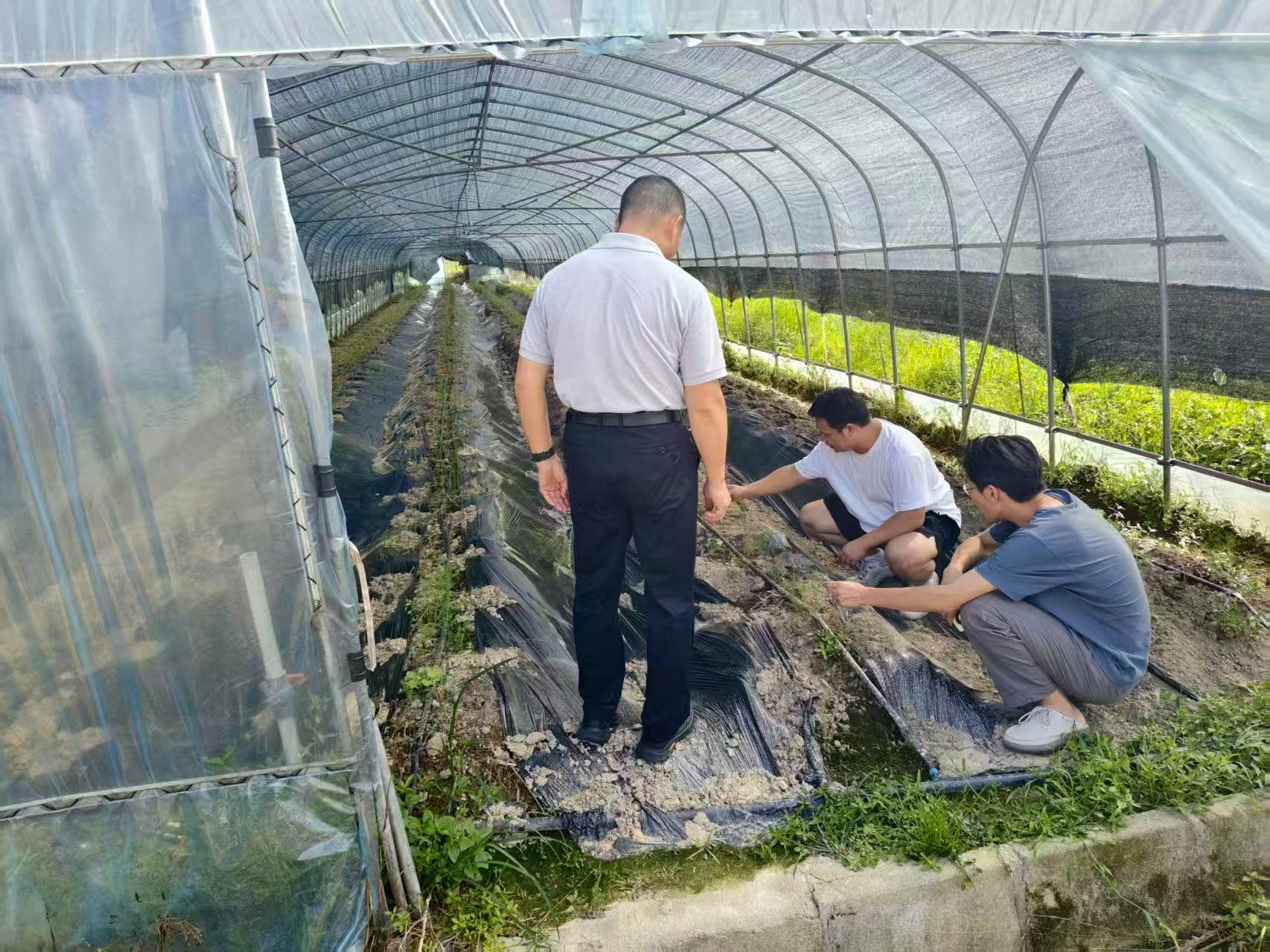 湖南政协新闻网
