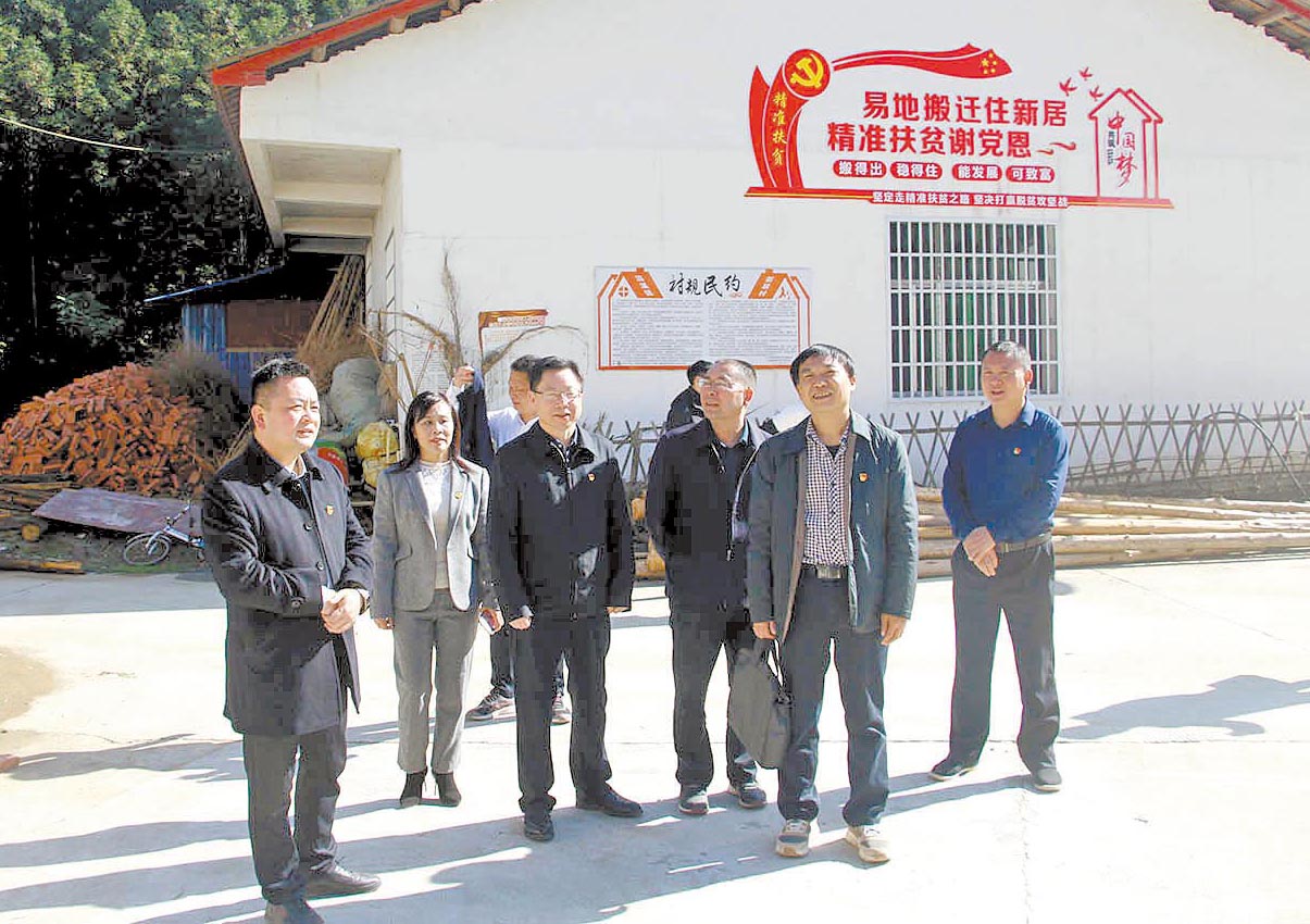 调研安化县滔溪镇新联村乡村振兴工作.jpg