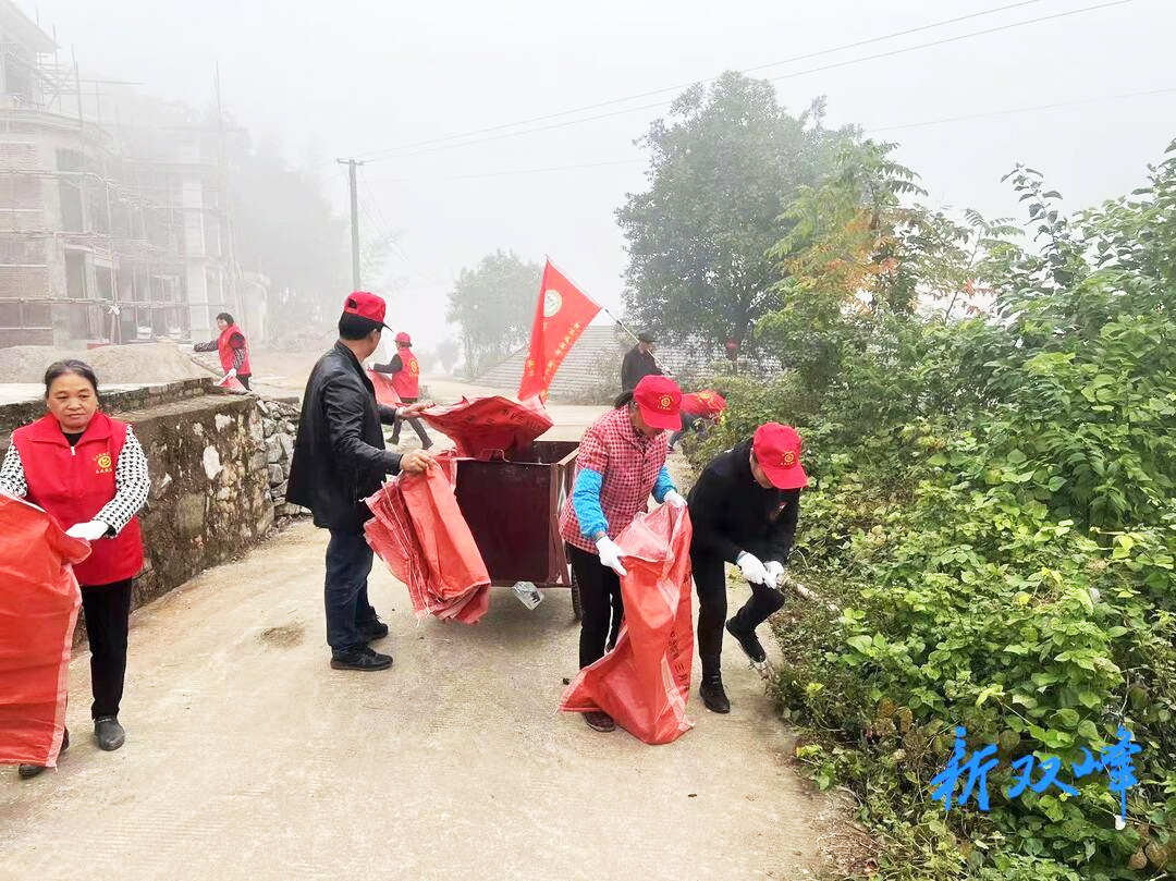 双峰县洪山殿镇金桥村开展环境整建志愿服务活动.jpg