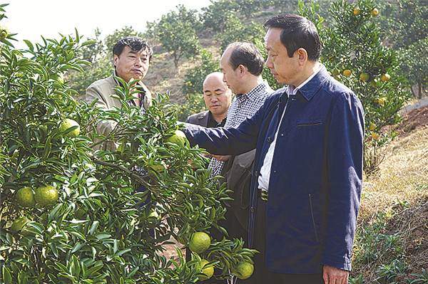 农委23.jpg