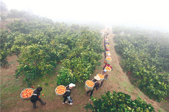 湘西州6版115.jpg