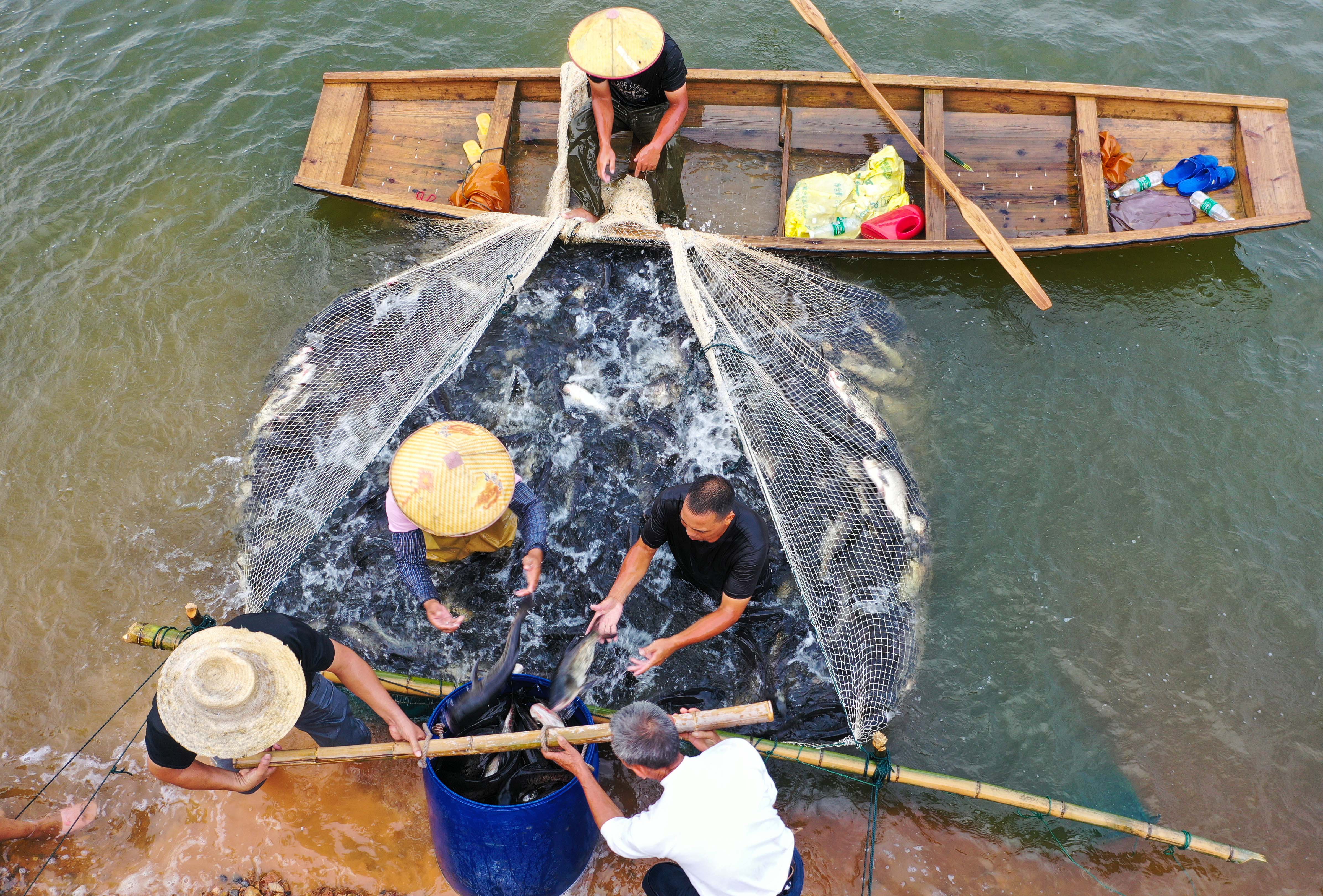 湖南衡东捕鱼.jpg