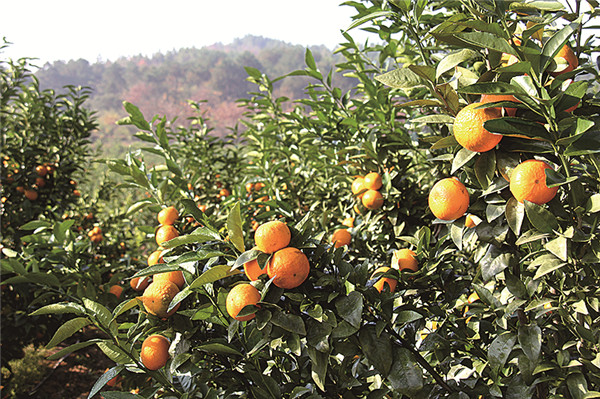 衡山县-9.jpg