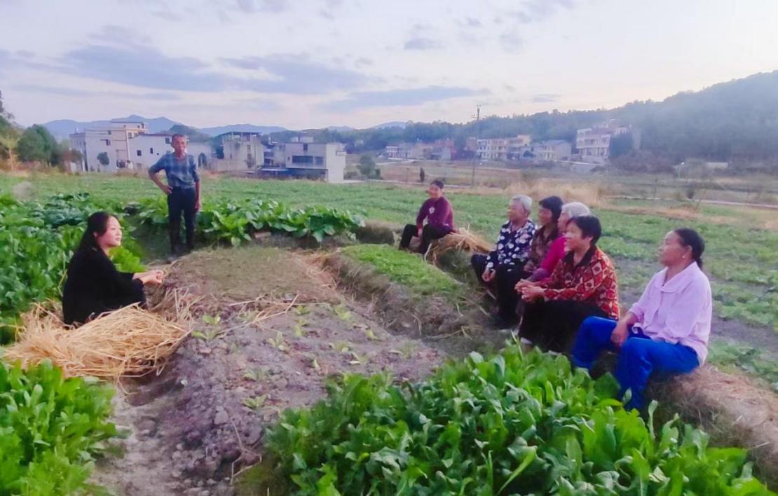 微信图片_20221115193650_副本