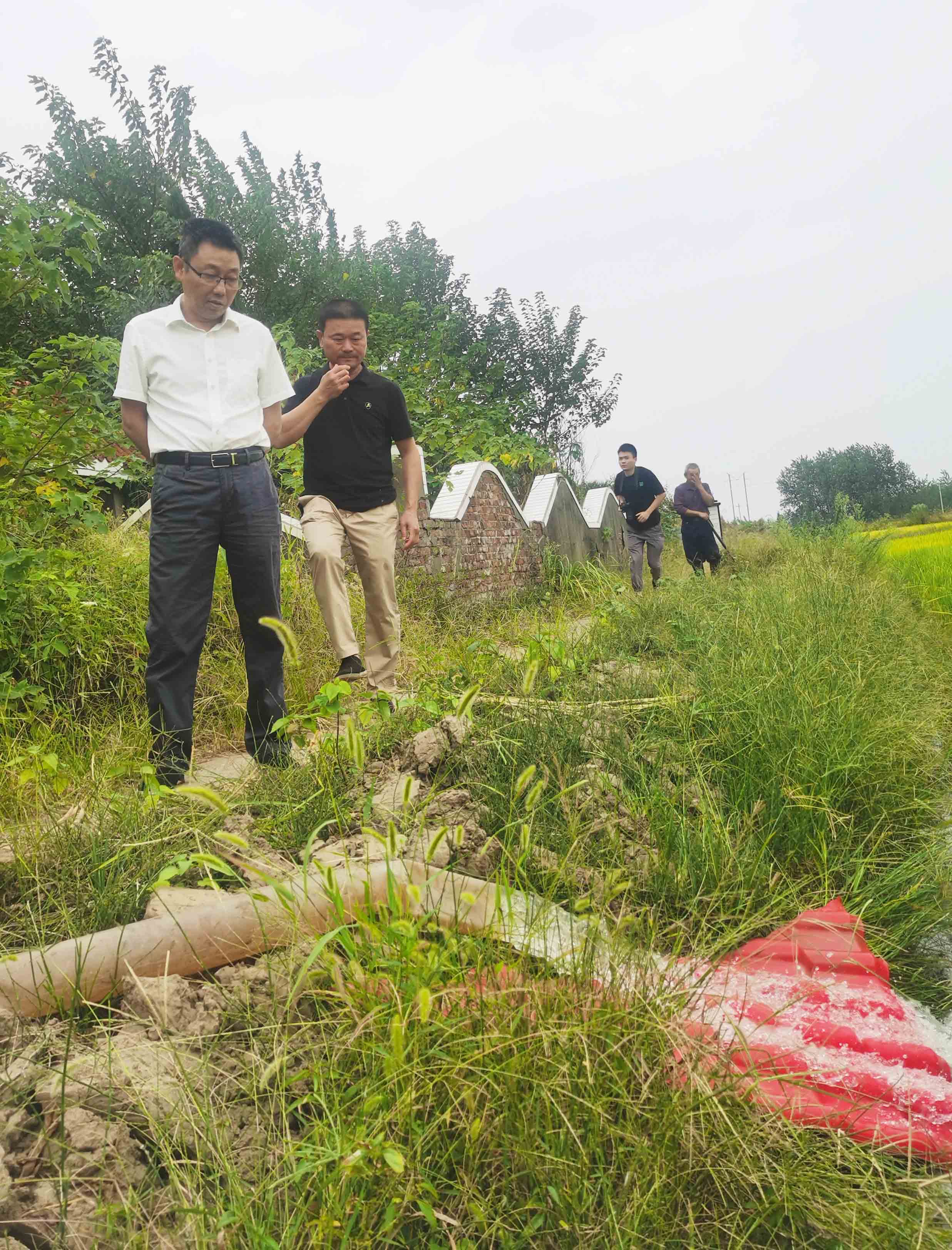 益阳市政协9.jpg