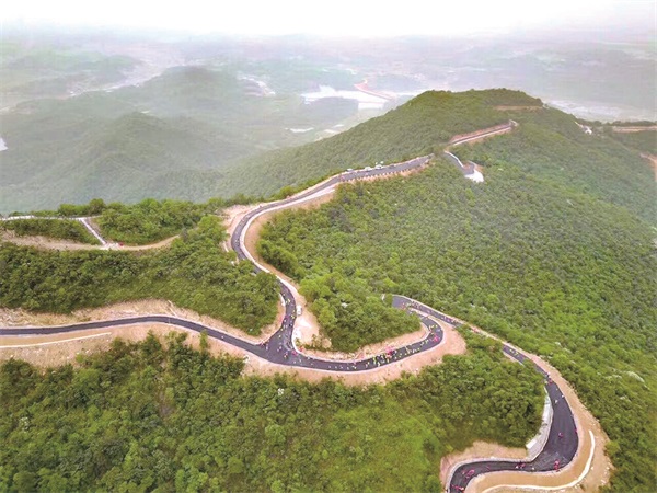 麻布山森林公园改造后的山上游步道.jpg