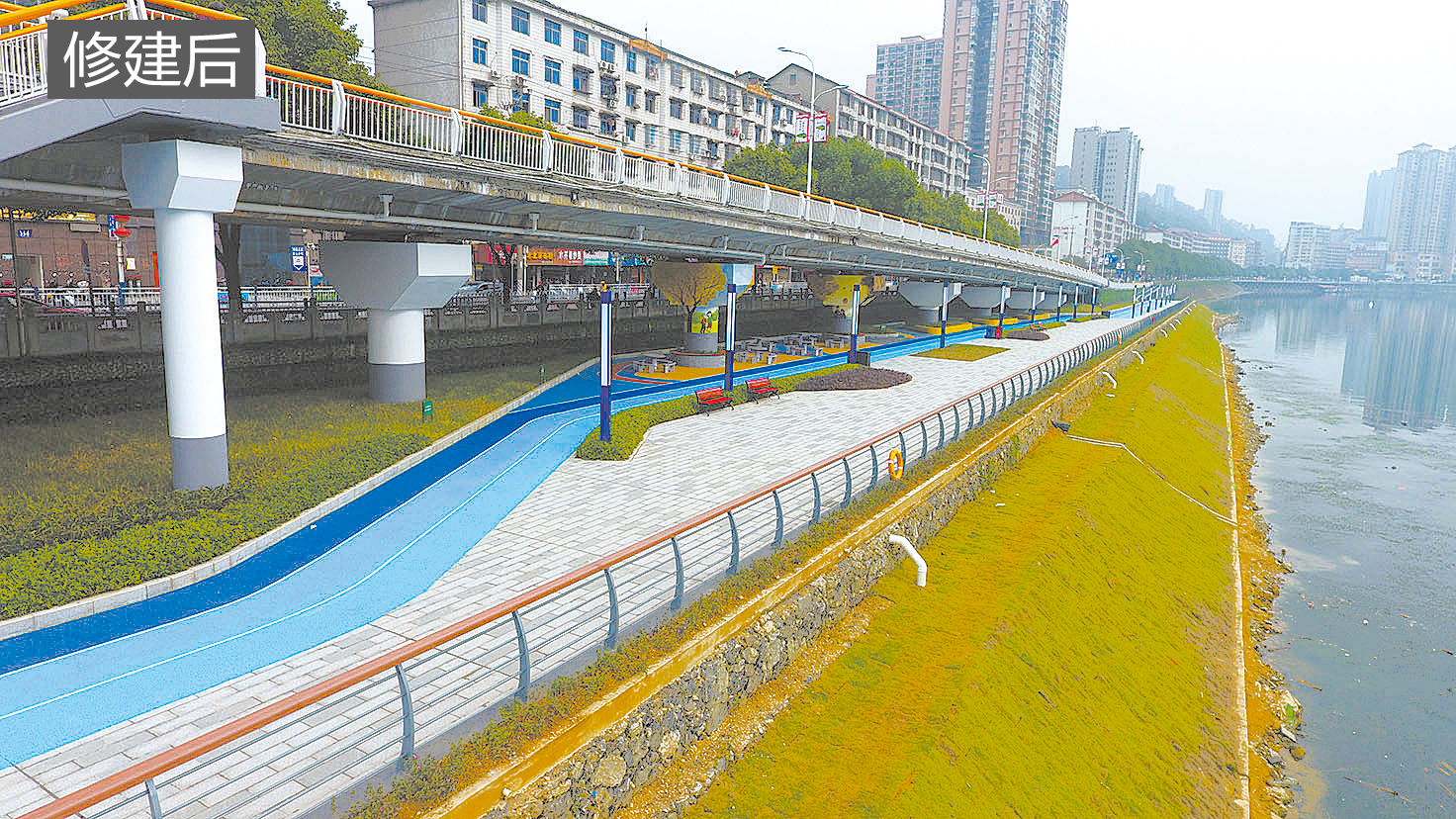 141082_zhangchunmei_1661445137620.jpg