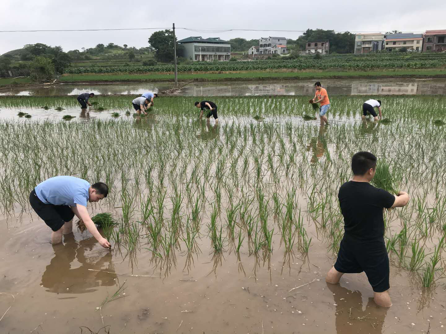 图片1.png