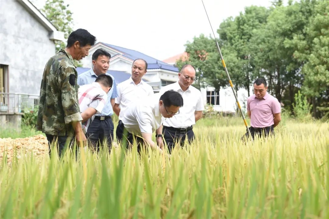 益阳市政协2.png