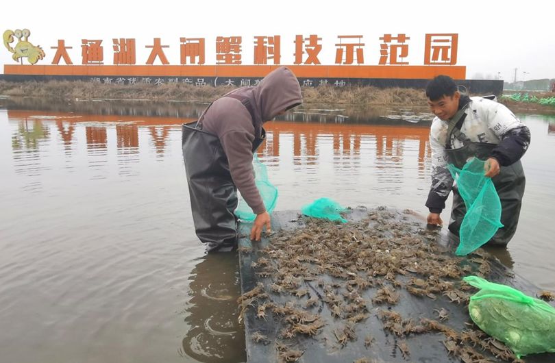 湖南政协新闻网